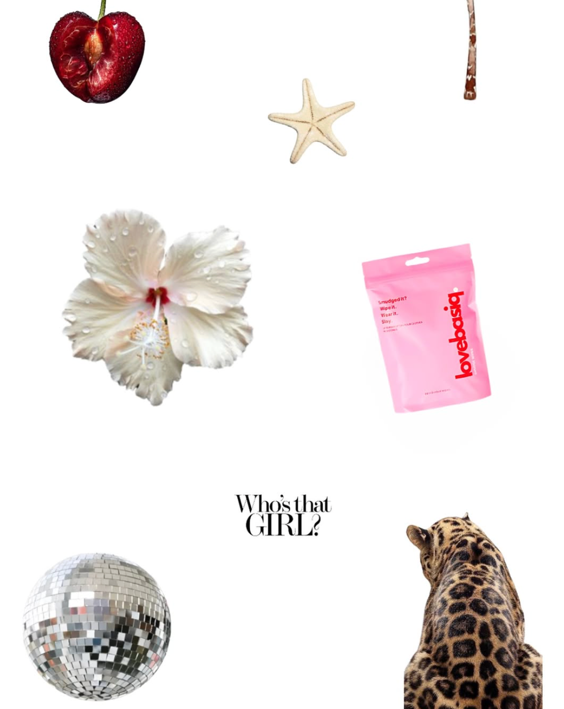 Collage of various objects including a dried cherry, starfish, white flower, lovebasiq Smudge Wipes 20-pack, disco ball, and leopard print cat.